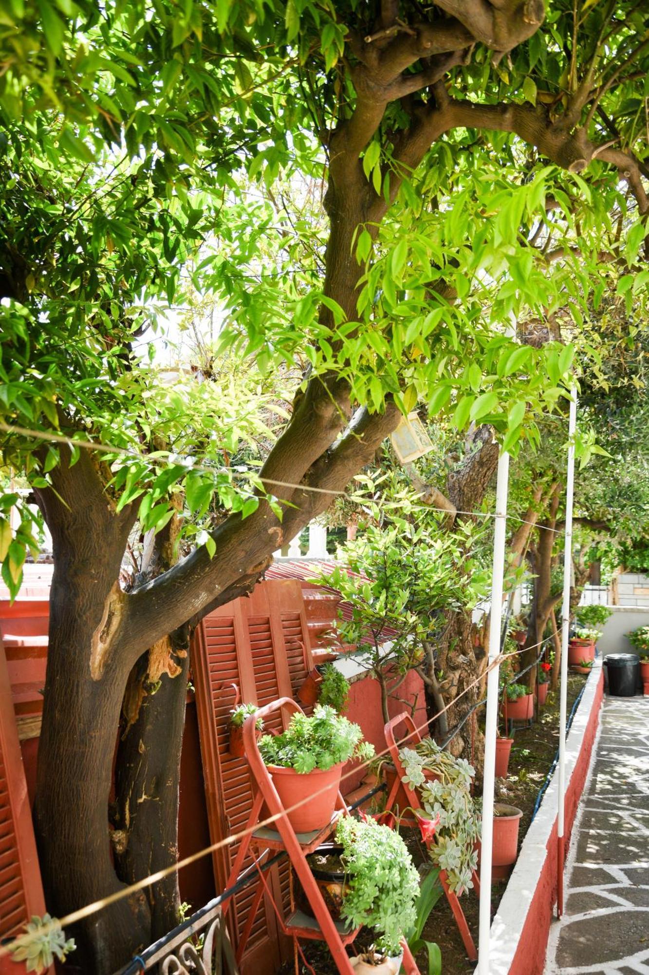 卡瓦拉Rent House Daphne公寓 外观 照片